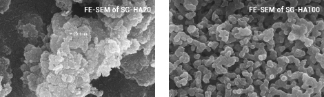  Hydroxyapatite for bone fillers and bioceramic coatings